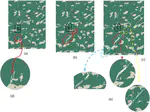 Damage characterization of heat-treated titanium bio-alloy Ti-6Al-4V based on micromechanical modeling